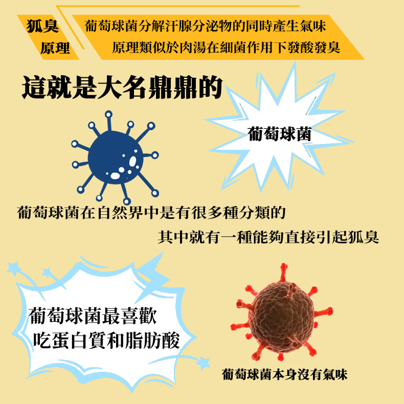 日本素晴生命科學研究所狐臭科普-02