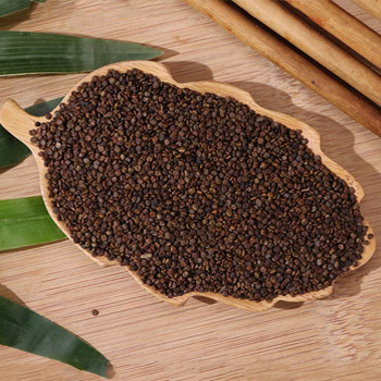 御正君參陽丸成分沙苑子 引導作用直達腎源 / 強化調理