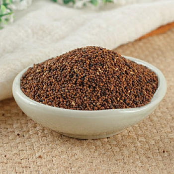 御正君參陽丸成分菟絲子 補腎益精 / 護肝明目