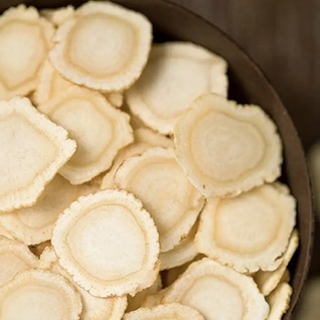 御正君參陽丸成分西洋參 補氣養陰 / 益肺健脾