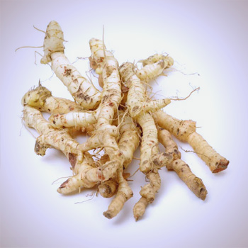 御正君參陽丸成分黃精 補脾益氣 / 滋陰潤燥