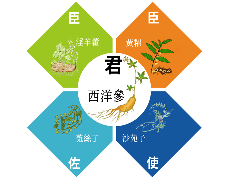 御正君參陽丸 中醫君臣佐使理論 精準配伍