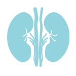 御正君參陽丸 補充身體虧損 幫助成年人恢復元氣