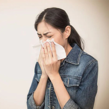 免疫力差易感冒 御正君參陽丸 調理體質增強抵禦力