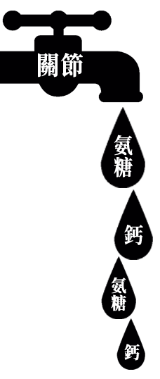 氨糖隨年齡遞減 御正君骨活丸 科學補充維持關節健康