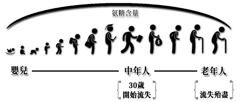 年齡增長氨糖流失 御正君骨活丸 持續補充延緩關節老化