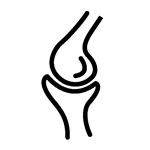 御正君骨活丸 補充軟骨素 潤滑關節減少摩擦