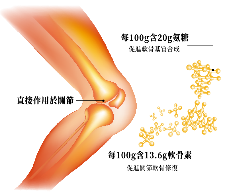 氨糖 + 軟骨素黃金搭配 御正君骨活丸 潤滑修復一站式