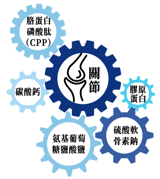 御正君骨活丸 五種成分科學配比 提升骨密度和養護關節