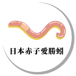 御正君納豆地龍活心素成分赤子愛勝蚓 地龍蛋白修護血管壁