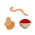 御正君納豆地龍活心素 天然成分日本納豆 + 赤子愛勝蚓 + 紅曲米