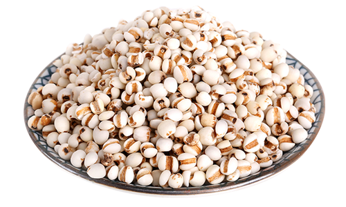 御正君脾胃清和散原料薏苡仁 顆粒飽滿營養充足