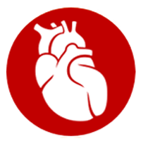 中醫心臟調養 御正君脾胃清和散 五行同步護理內臟