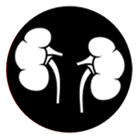 中醫腎臟調養 御正君脾胃清和散 遵循五行相生理論
