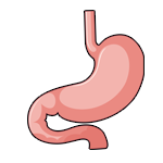 御正君脾胃清和散 健脾祛濕 全方位養護腸胃功能