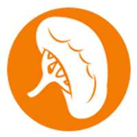 中醫脾臟養護 御正君脾胃清和散 健脾祛濕根源調理