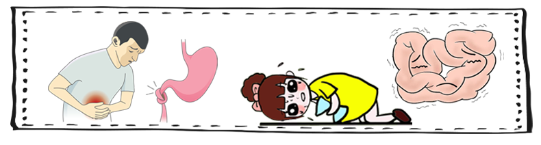 腸胃痛 御正君脾胃清和散 腸胃問題對症調理