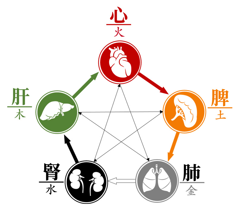 御正君脾胃清和散 遵循中醫五行理論 同步調養內臟