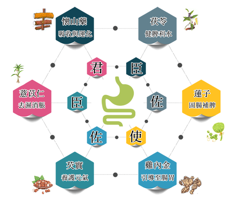 御正君脾胃清和散 中醫君臣佐使理論 懷山藥為君科學配伍